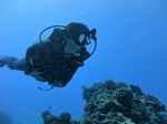 Hawaii Scuba divng 32