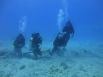 Hawaii Scuba divng 33