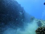 Hawaii Scuba divng 34