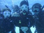 Hawaii Scuba divng 39