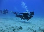 Hawaii Scuba divng 56