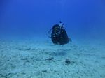 Hawaii Scuba divng 57