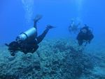 Hawaii Scuba divng 63