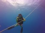 Hawaii Scuba divng 12