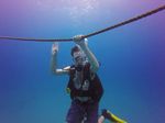 Hawaii Scuba divng 02