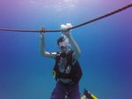 Hawaii Scuba divng 03