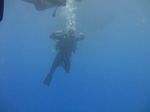 Hawaii Scuba divng 20