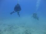 Hawaii Scuba divng 22