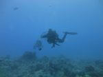 Hawaii Scuba divng 40