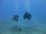 Hawaii Scuba divng 41