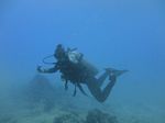 Hawaii Scuba divng 42