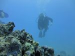 Hawaii Scuba divng 45