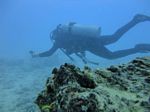 Hawaii Scuba divng 53