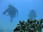 Hawaii Scuba divng 54