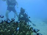 Hawaii Scuba divng 57