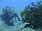 Hawaii Scuba divng 58