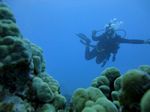 Hawaii Scuba divng 60
