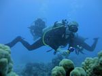 Hawaii Scuba divng 61