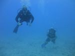 Hawaii Scuba divng 62