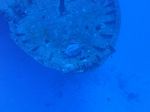 Hawaii Scuba divng 06