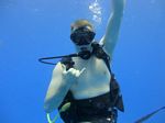 Hawaii Scuba divng 10