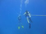 Hawaii Scuba divng 11