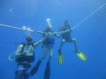 Hawaii Scuba divng 14