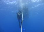 Hawaii Scuba divng 18