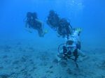 Hawaii Scuba divng 21