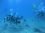 Hawaii Scuba divng 22