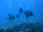 Hawaii Scuba divng 35