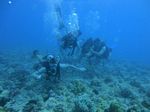 Hawaii Scuba divng 36