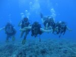 Hawaii Scuba divng 38