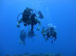 Hawaii Scuba divng 39