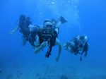 Hawaii Scuba divng 40