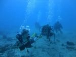 Hawaii Scuba divng 48