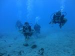 Hawaii Scuba divng 49