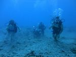 Hawaii Scuba divng 51