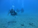 Hawaii Scuba divng 53