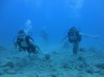 Hawaii Scuba divng 56