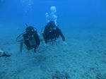 Hawaii Scuba divng 56