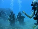 Hawaii Scuba divng 59