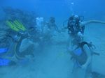 Hawaii Scuba divng 61