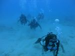 Hawaii Scuba divng 62