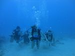 Hawaii Scuba divng 63