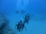 Hawaii Scuba divng 64