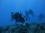 Hawaii Scuba divng 65