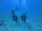 Hawaii Scuba divng 67