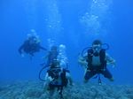 Hawaii Scuba divng 68