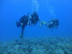 Hawaii Scuba divng 69